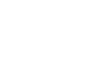 ALTAIR-logo-web-headline-headline-white
